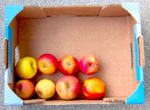 Geometry and  Measurement K10