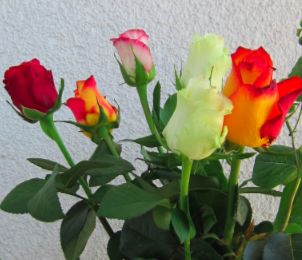 Statistics, Data Analysis and Probability K2