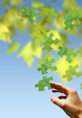 Practical Mathematics K9