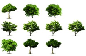 Statistics, Data Analysis and Probability K3