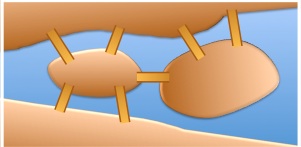 Geometry and  Measurement K8