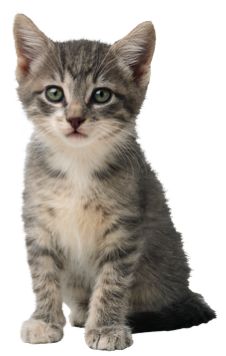 Practical Mathematics K3