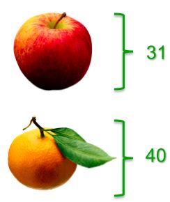 Practical Mathematics K5