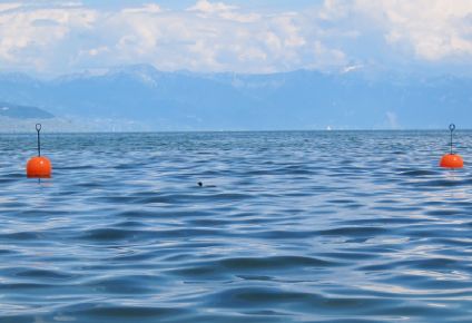 Statistics, Data Analysis and Probability K6