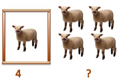 Brainteasers 