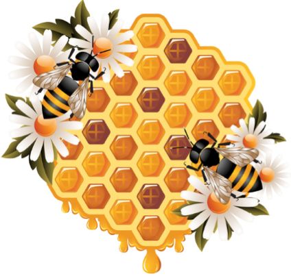 Statistics, Data Analysis and Probability K12