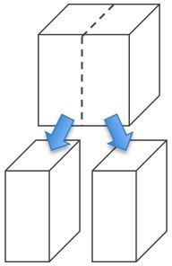 Practical Mathematics K9