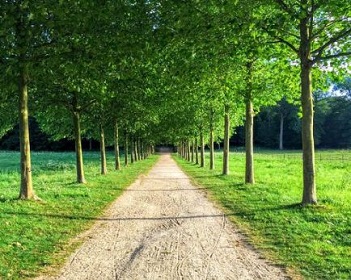 Statistics, Data Analysis and Probability K10