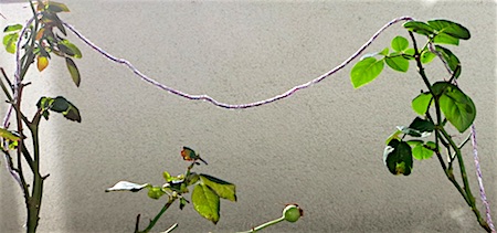 Geometry and  Measurement K11