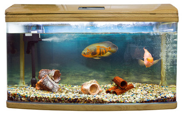 Practical Mathematics K9