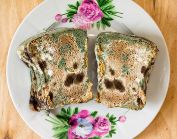 Practical Mathematics K10