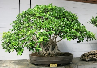 Statistics, Data Analysis and Probability K7