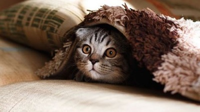 Practical Mathematics K10