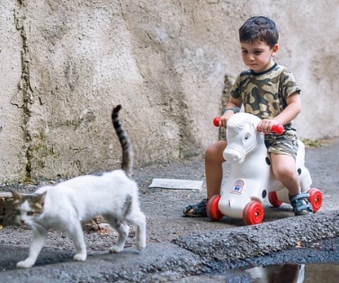 Practical Mathematics K6