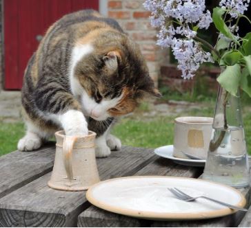 Statistics, Data Analysis and Probability K12