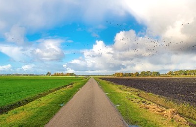 Statistics, Data Analysis and Probability K9