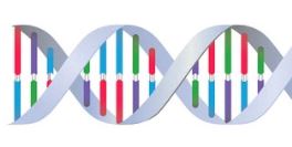 Practical Mathematics K12