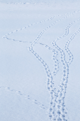 Practical Mathematics K3