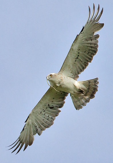 Practical Mathematics K10