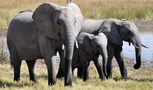 Statistics, Data Analysis and Probability K8