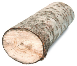 Practical Mathematics K9