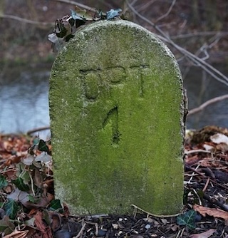 Practical Mathematics K5