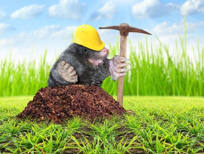 Statistics, Data Analysis and Probability K12