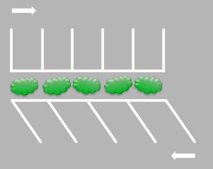Practical Mathematics K9