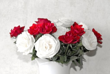 Practical Mathematics K10