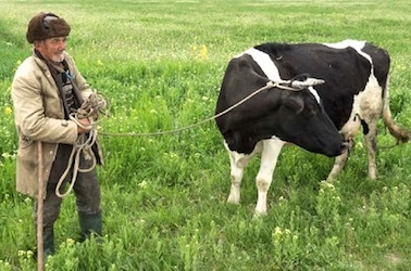 Practical Mathematics K7