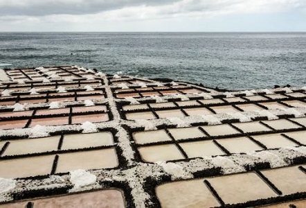 Practical Mathematics K9