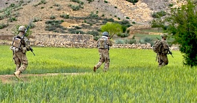 Practical Mathematics K9