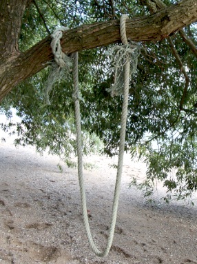 Practical Mathematics K9