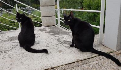 Practical Mathematics K2