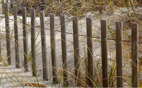 Practical Mathematics K5